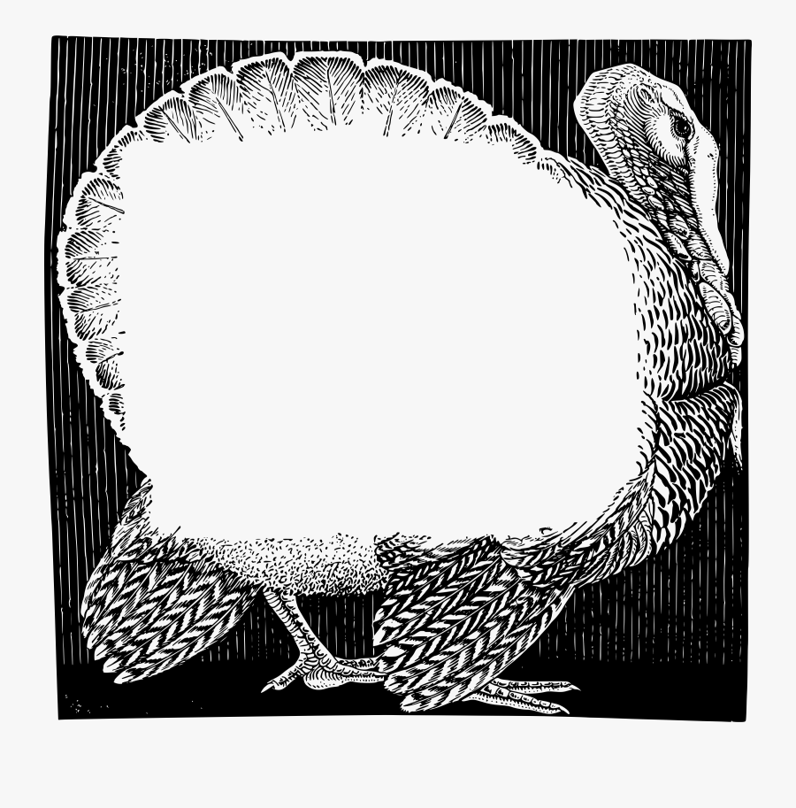 Picture Frame,visual Arts,feather - Illustration, Transparent Clipart