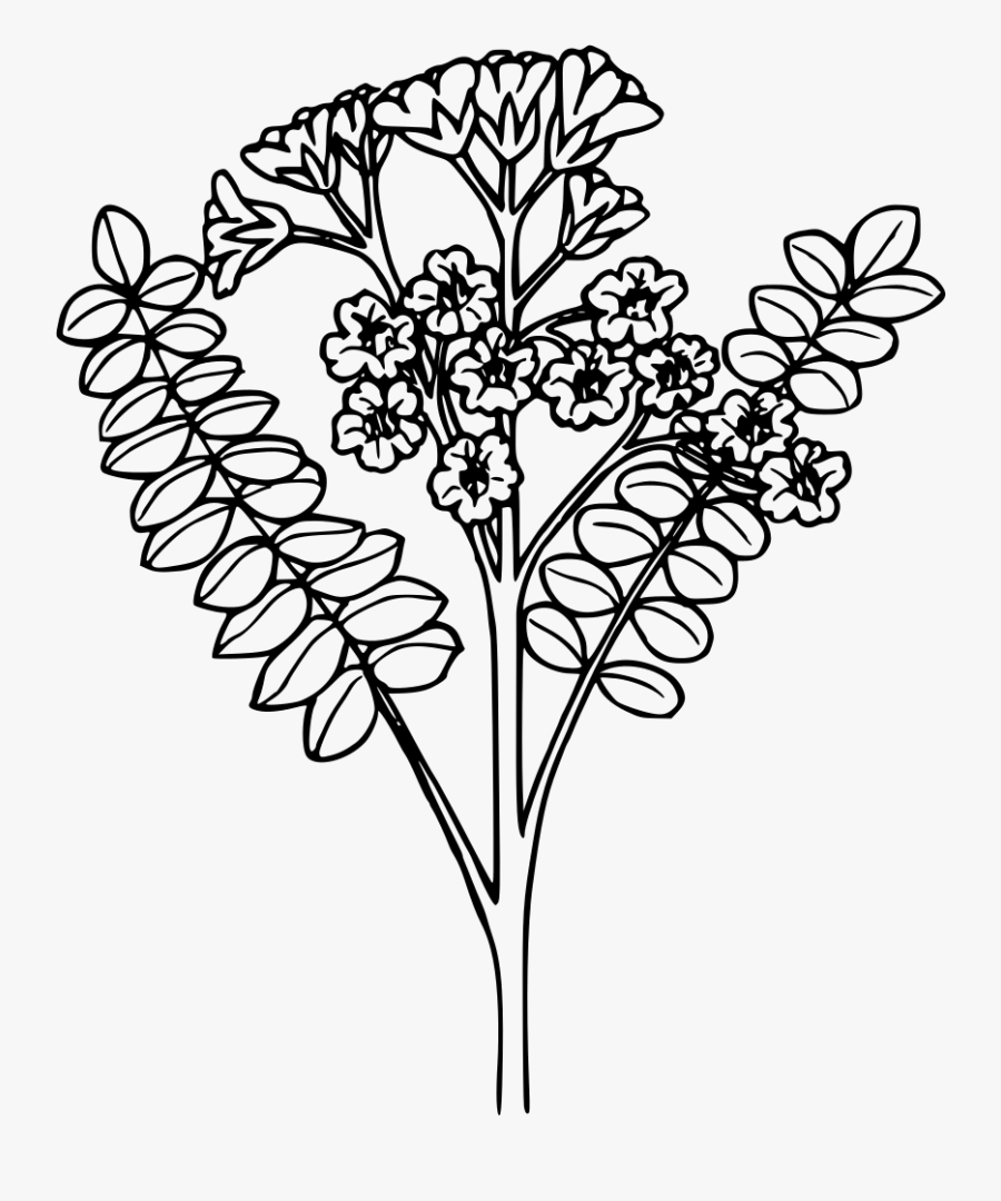 Jacob"s Ladder - Portable Network Graphics, Transparent Clipart