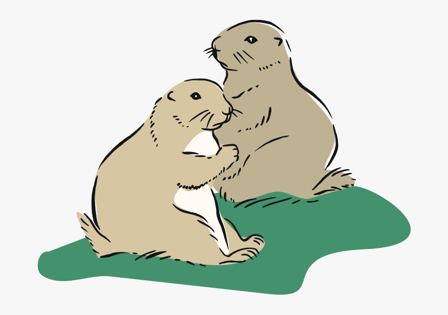 Cute Prairie Dog Clipart, Transparent Clipart