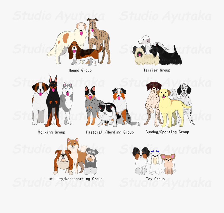 Hd Pet Clipart Group Pet - Kennel Club Breed Groups, Transparent Clipart
