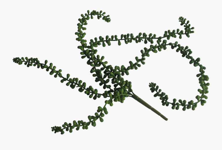 Transparent String Of Pearls Clipart, Transparent Clipart