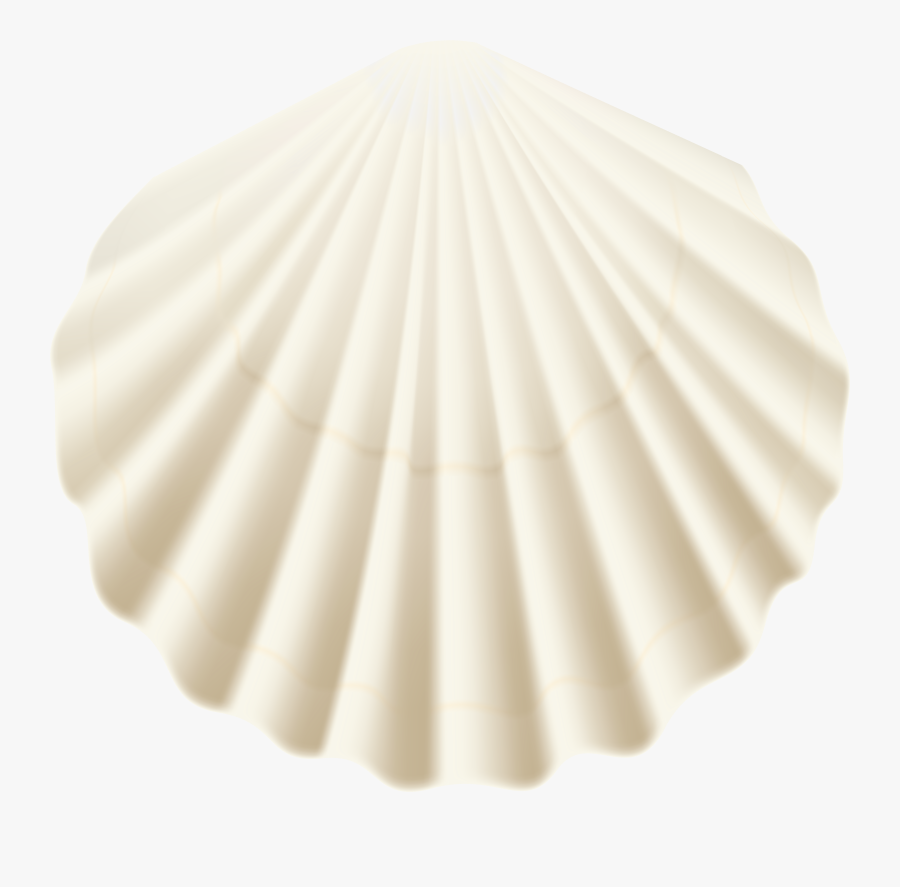 Download Seashell White Transparent Clipart Png Photo - Scallop, Transparent Clipart