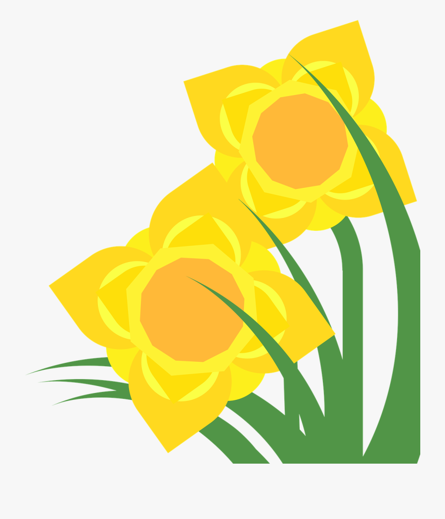 Clipart, Daffodil, Narcissus, Spring, Flower, Plant - Flower Spring Clipart Green Yellow, Transparent Clipart