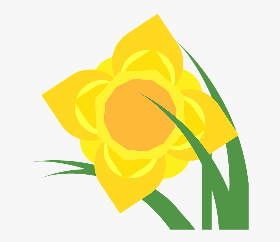 Clipart, Daffodil, Narcissus, Spring, Flower, Plant, Transparent Clipart