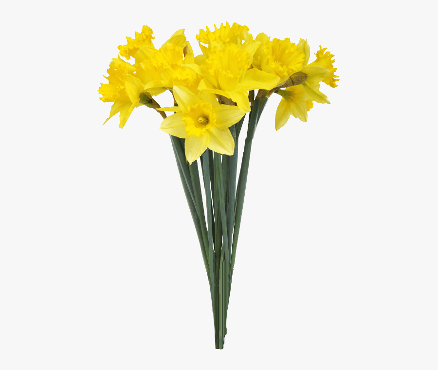 Clip Art Daffodil Background - Flower Bouquet Transparent Background, Transparent Clipart