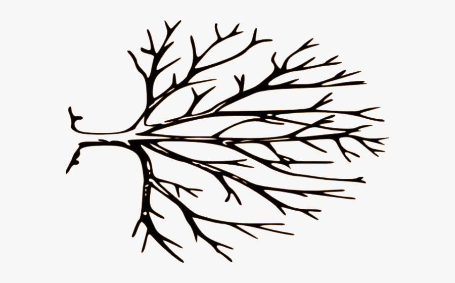 Transparent Dead Tree Silhouette Png - Free Black And White Tree Clipart, Transparent Clipart