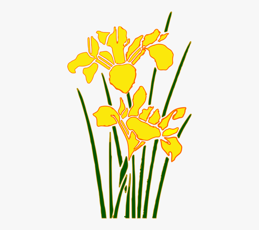 Daffodil Clip Art 12, - Cartoon Daffodil, Transparent Clipart