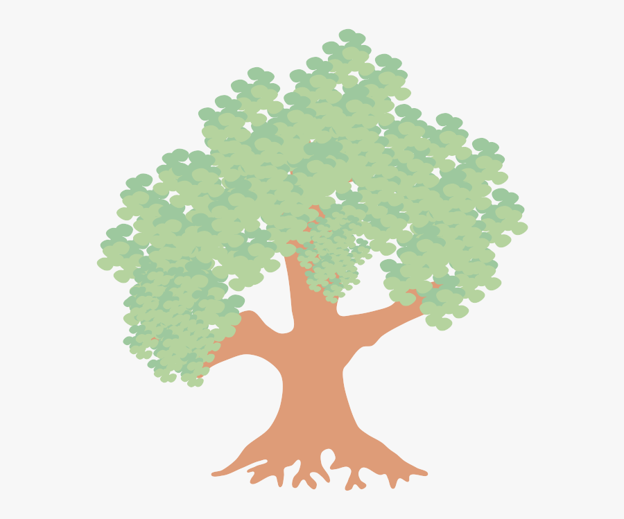 Oak, Transparent Clipart