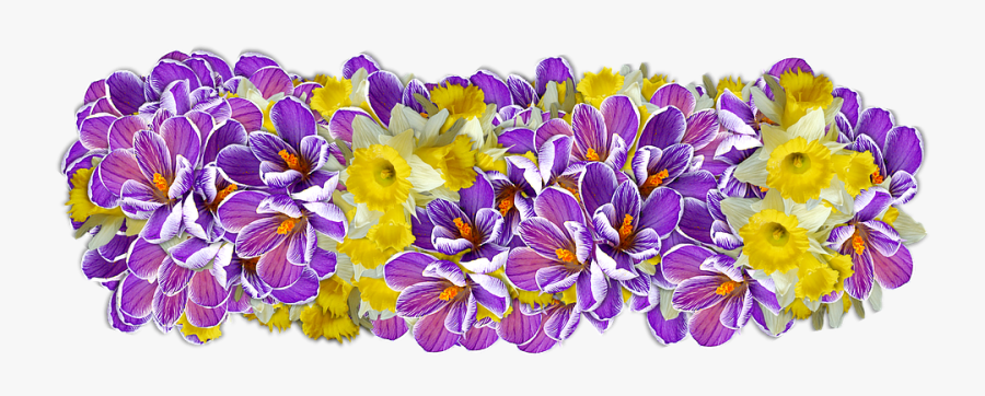 Flowers, Decoration, Line Of Flowers - Flores Png Planta Baixa, Transparent Clipart