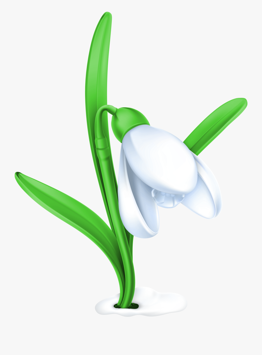Snowdrop Clipart, Transparent Clipart