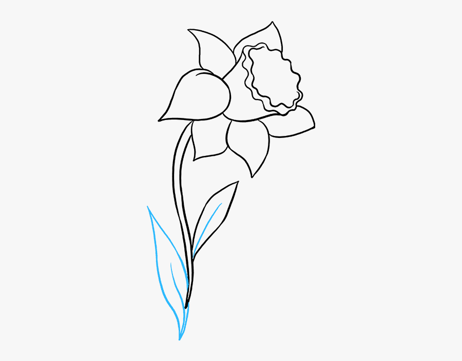 Clip Art Narcissus Drawing - Line Art, Transparent Clipart
