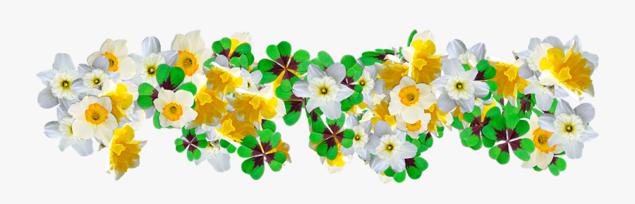 Clover, Daffodils, Flowers, Graphics - Artificial Flower, Transparent Clipart