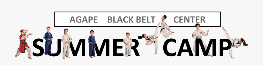 Martial Arts Rochester Ny, Taekwondo, Judo, Kumdo, - Brazilian Jiu-jitsu, Transparent Clipart