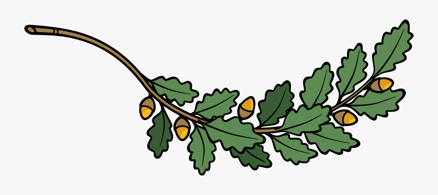 Clip Library Library Branch Big Image Png - Oak Tree Branch Clipart, Transparent Clipart