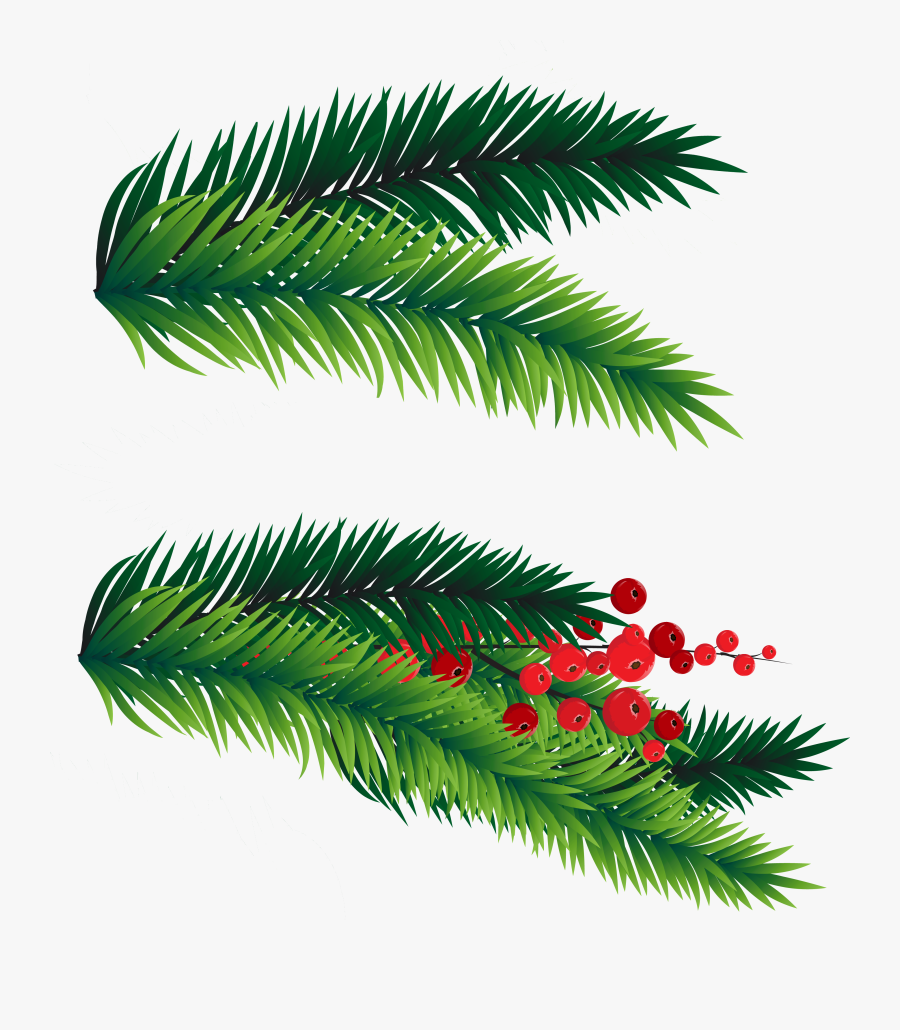 28 Collection Of Christmas Tree Branches Clipart - Christmas Tree Branch Clipart, Transparent Clipart