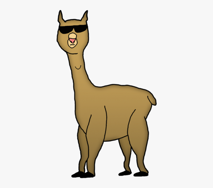 Alpaca Cartoon Png - Cartoon Llama Transparent Background, Transparent Clipart