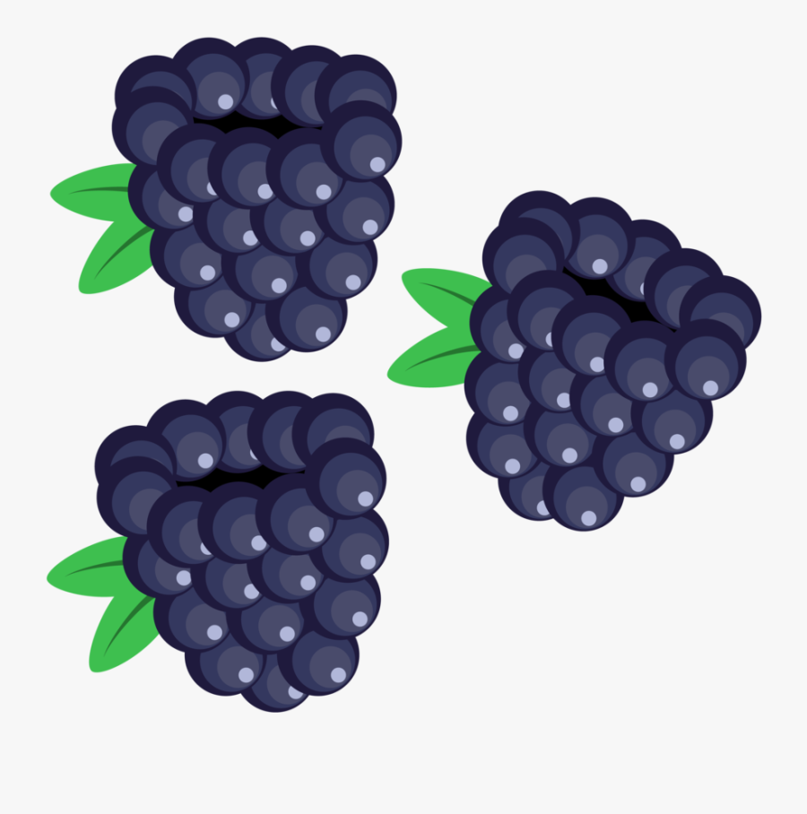 Berry Vector Blackberry - Blackberry Clipart, Transparent Clipart