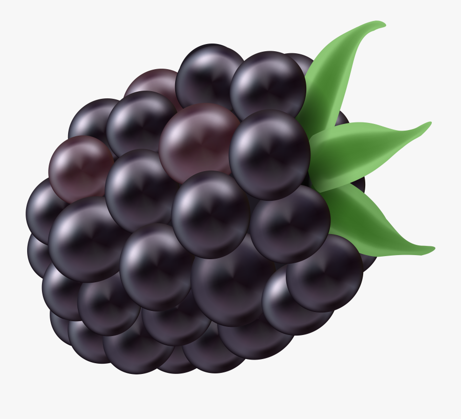 Transparent Grapevine Clipart - Grape, Transparent Clipart