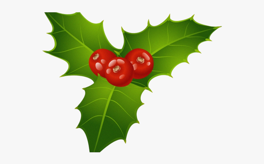 Holly Leaf Berries Clipart Christmas Mistletoe Transparent - Christmas Mistletoe Png, Transparent Clipart