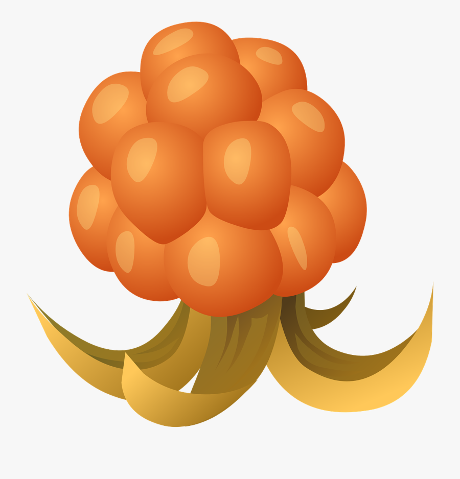 Cloudberry Clipart, Transparent Clipart