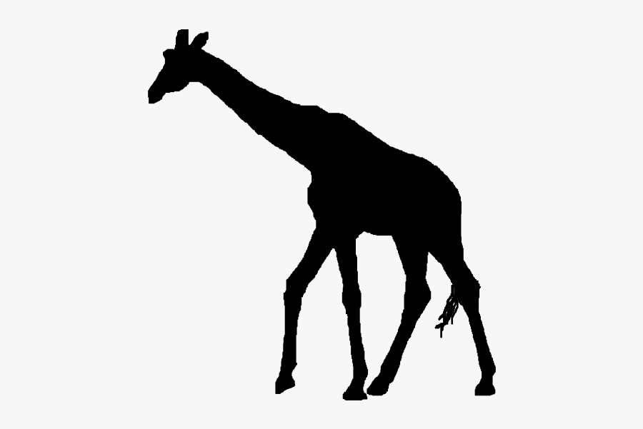 Free At Getdrawings Com - Silhouette Transparent Giraffe Clipart, Transparent Clipart