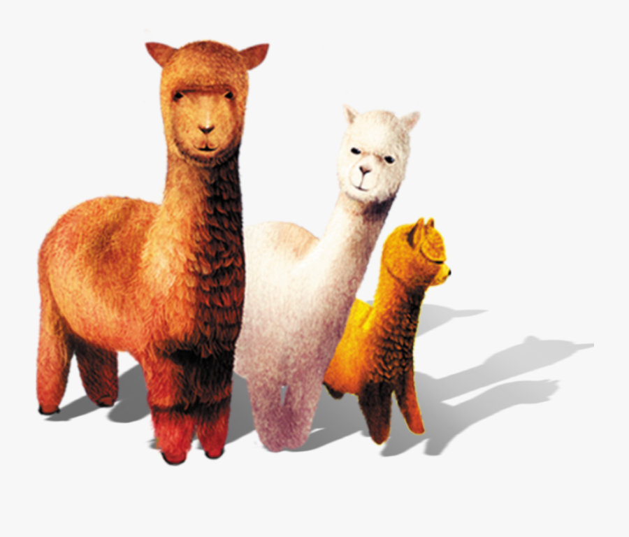 Clip Art Grass Mud Horse Sheep - Las Llamas Dibujos Animados, Transparent Clipart