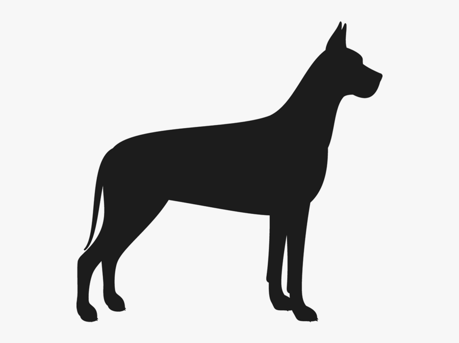 Llama Silhouette Clip Art - Great Dane Dog Silhouette Png, Transparent Clipart
