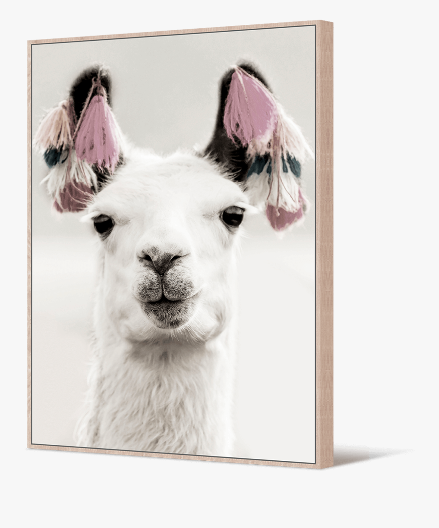 Bolivia Alpaca - Llama, Transparent Clipart