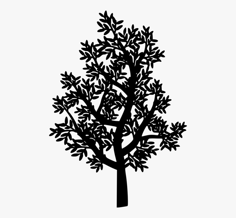 Visual Arts,plant,flora - Small Tree Silhouette Png, Transparent Clipart