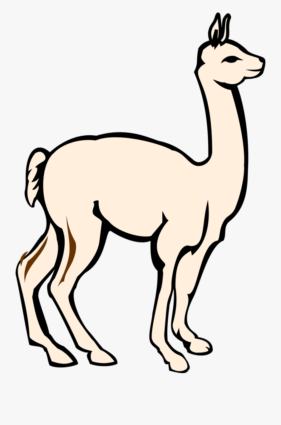 Line Art,wildlife,artwork - Guanaco Animal Gif, Transparent Clipart