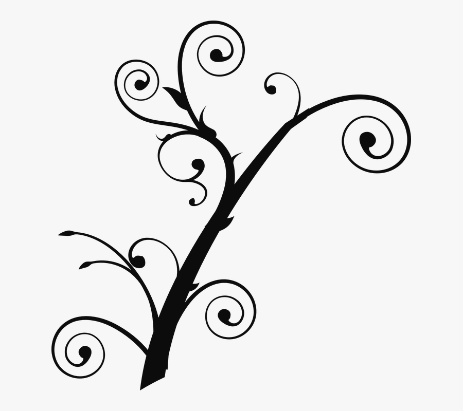 Tree, Branch, Curly, Twig, Floral, Nature, Decoration - Tree Branch Clip Art, Transparent Clipart