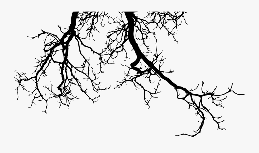 Transparent Spooky Tree Clipart - Silhouette Tree Branches Png, Transparent Clipart