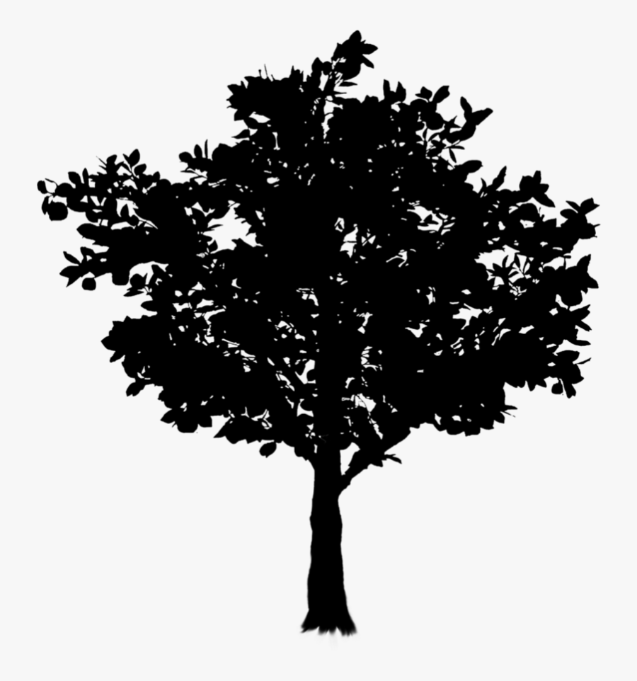 Oak Twig Tree Branch Free Frame Clipart - Black And White Tree Pdf, Transparent Clipart