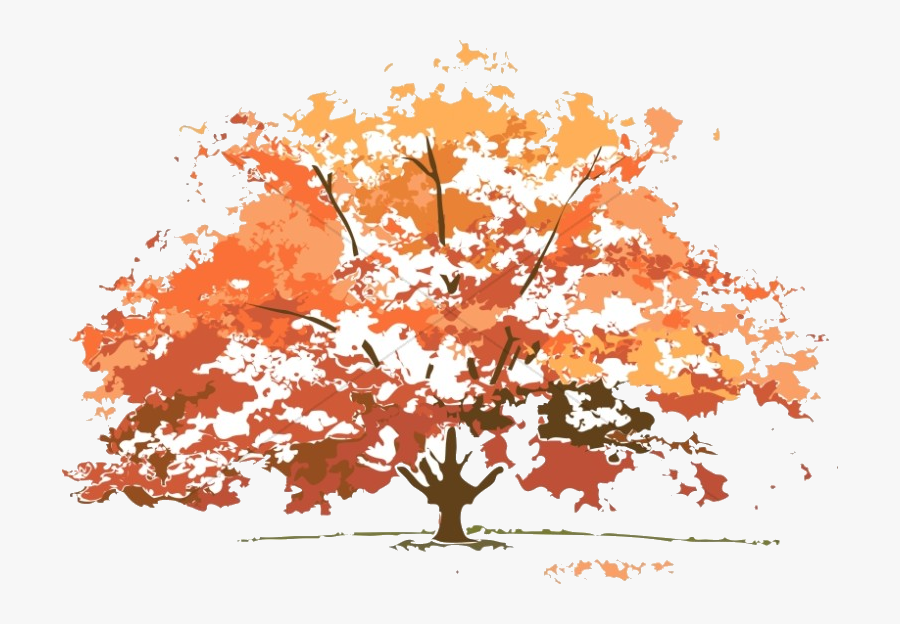 Fall Tree Colors Maple Nature Clipart Transparent Png - Trees Look In Different Seasons, Transparent Clipart
