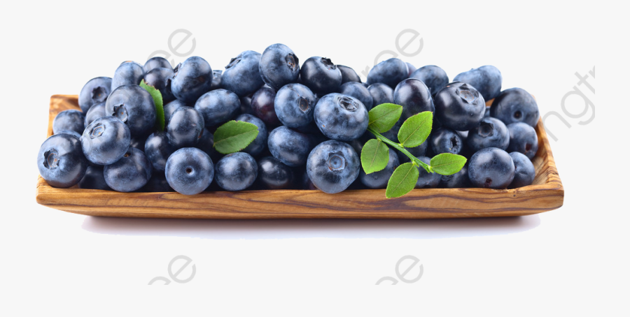 A Blueberry - Blueberry, Transparent Clipart