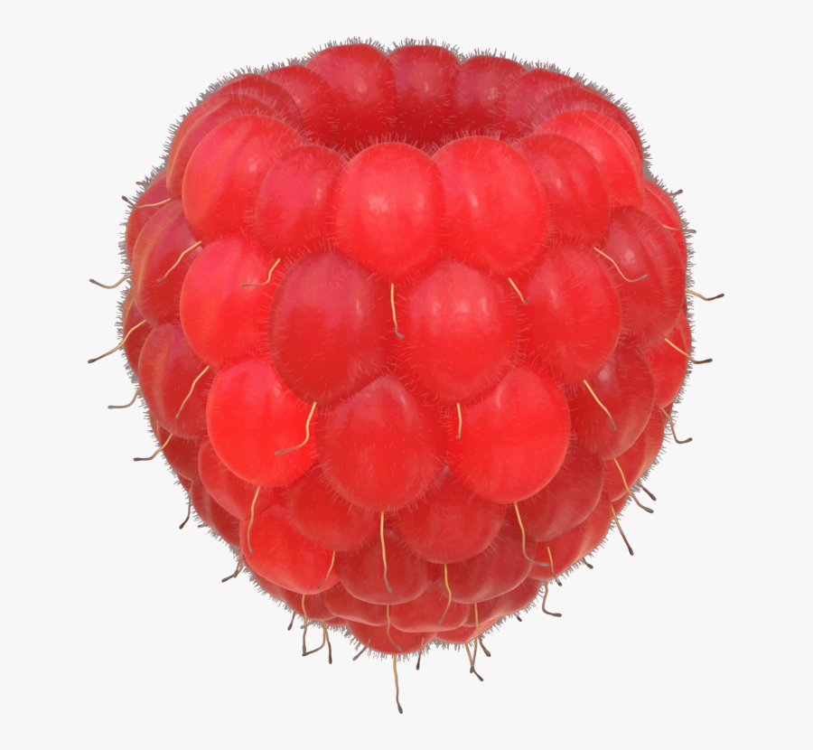 Fruit,raspberry,berry - Clip Art, Transparent Clipart