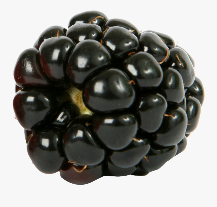 Black Raspberry Png, Transparent Clipart