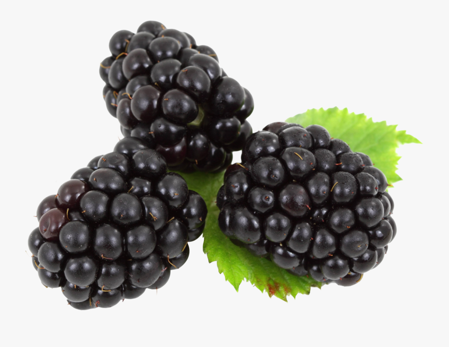 Blackberry Png, Transparent Clipart