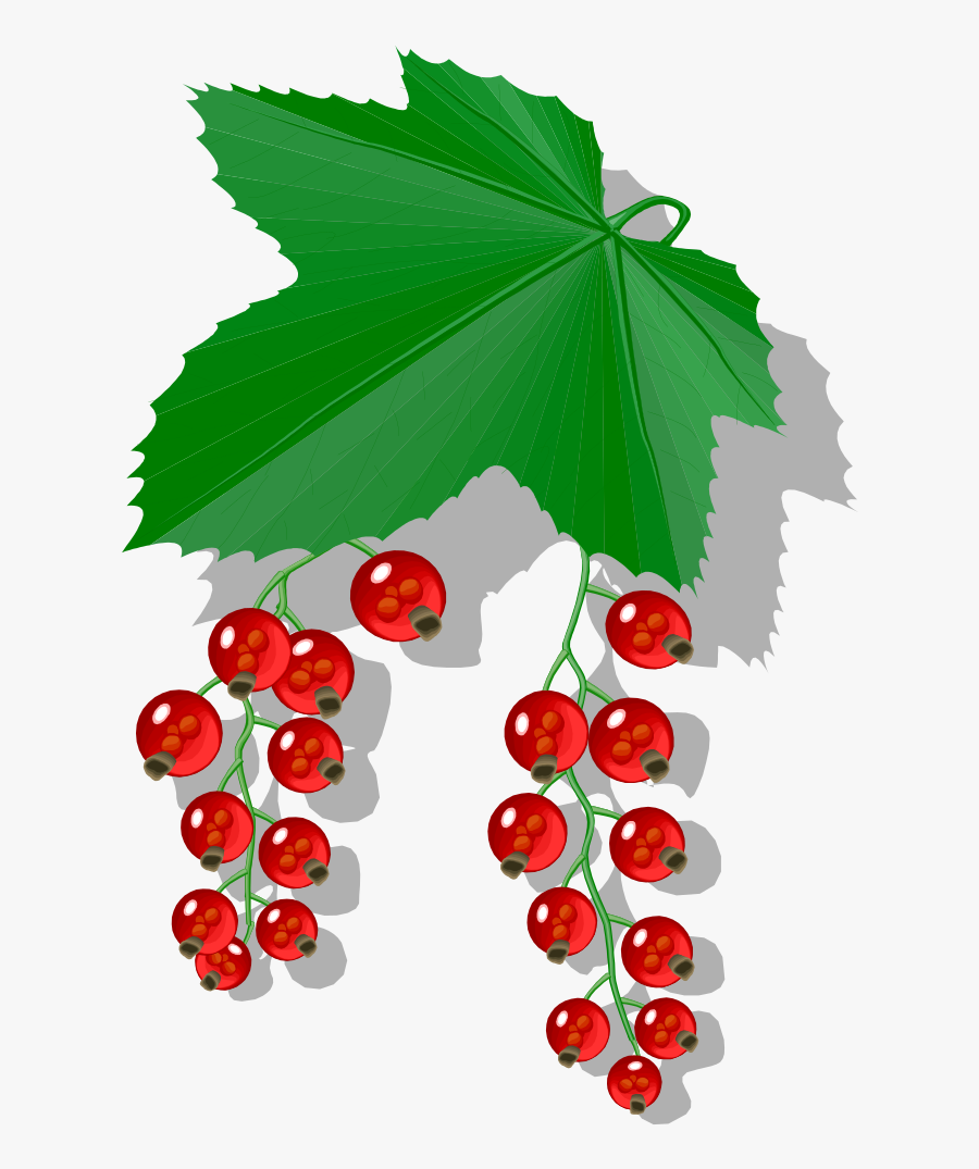 Johannisbeere Clipart, Transparent Clipart