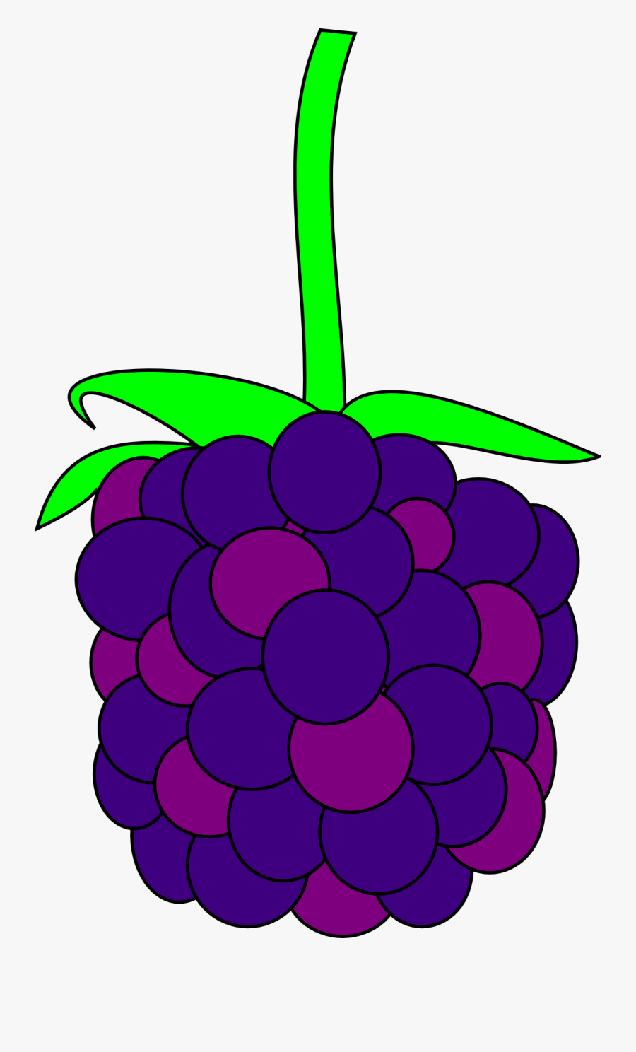 Blackberry Fruit Fresh Berry Design - Black Berry Clipart, Transparent Clipart