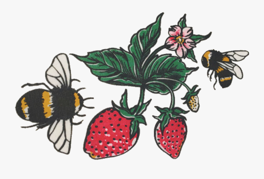 #bees #strawberries #berries #cute #arthoe #arthoeaesthetic - Transparent Cottagecore, Transparent Clipart