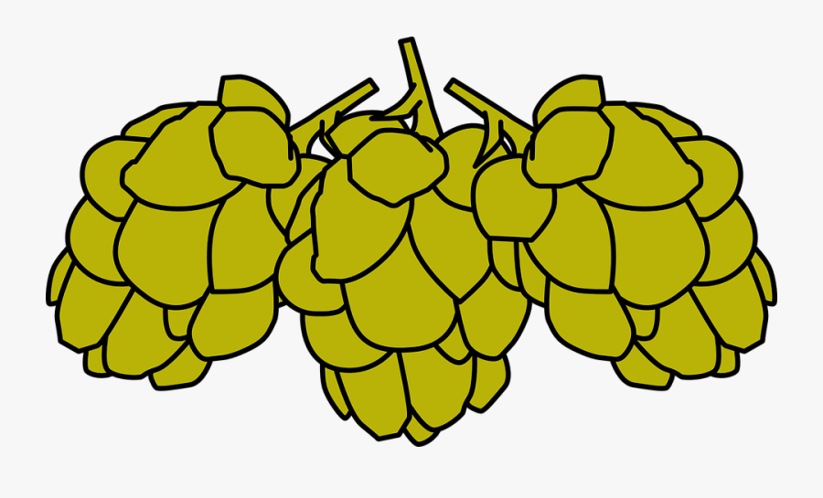 Cones, Fruit, Cluster, Nature, Berries - Hop Beer Cartoon Png, Transparent Clipart