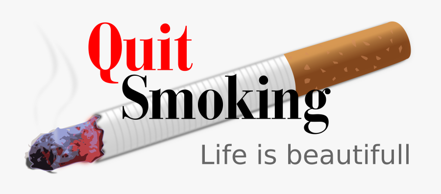 No Smoking Cliparts - Protect Your Respiratory And Circulatory System, Transparent Clipart