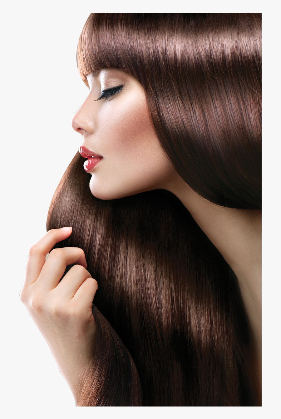 Transparent Hair Salon Clipart - Alisamento Png, Transparent Clipart