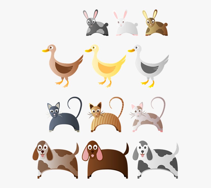 Tips For Being A Responsible Pet Owner, Transparent Clipart