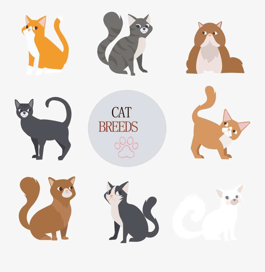 Cat Dog Drawing - Cat Breeds Drawn, Transparent Clipart