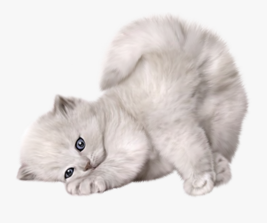 Large Png Cute Cat Picture - Cute Cat Transparent Background, Transparent Clipart