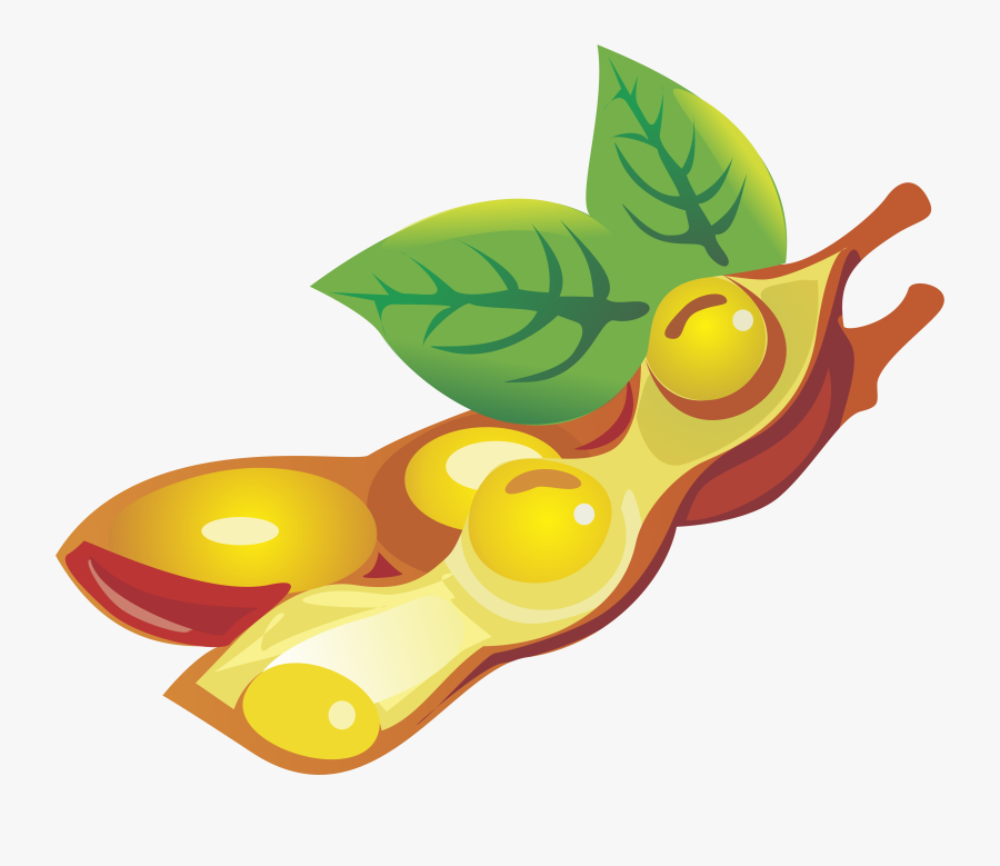 Seeds Clipart Soy Bean Soybean Crop Cartoon , Free Transparent