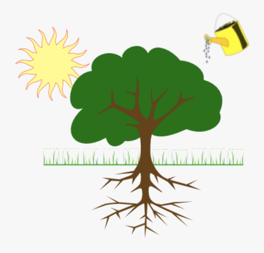 Plants Depend On Water, Soil And Sunlight To Grow Bigger - Clipart Parts Of The Tree, Transparent Clipart