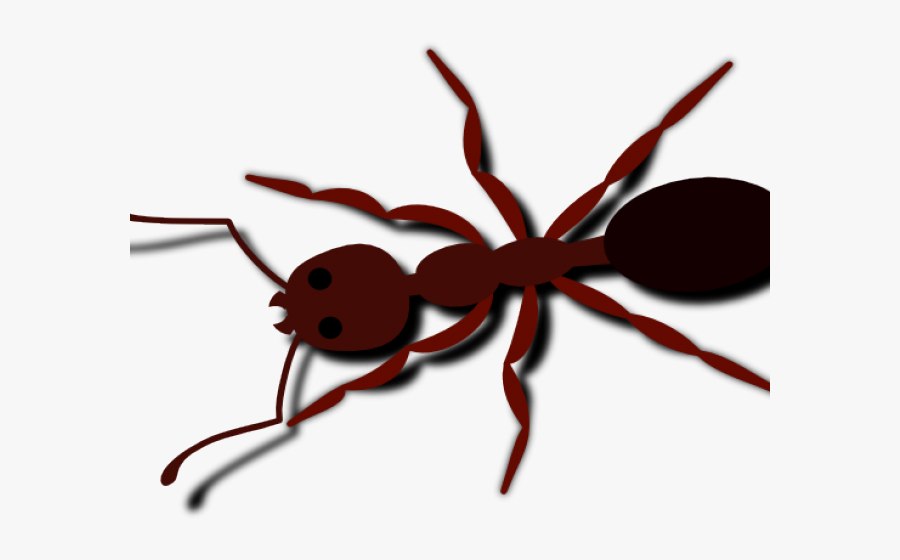 Transparent Cricket Animal Clipart - Ant Clip Art, Transparent Clipart